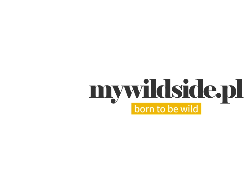 mywildside.pl Logo Maker - Design mywildside.pl logos online