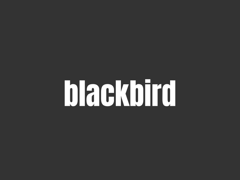 blackbird - 