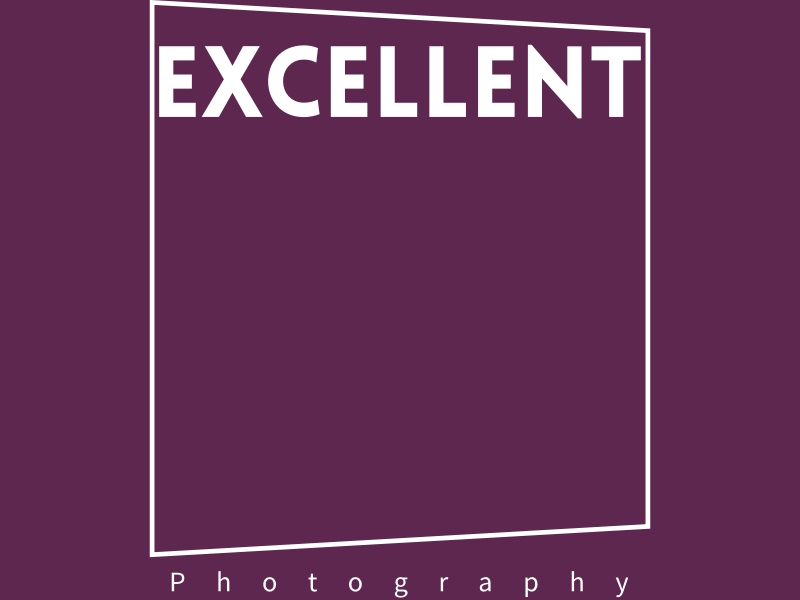 Excellent Logo Maker - Design Excellent logos online