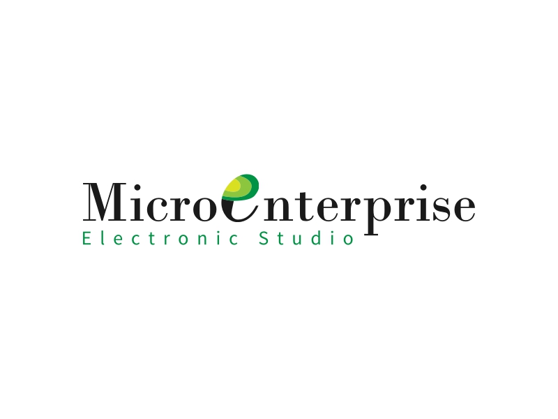 Microenterprise - Electronic Studio