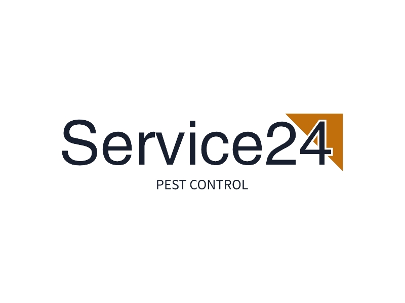 Service24 logo design