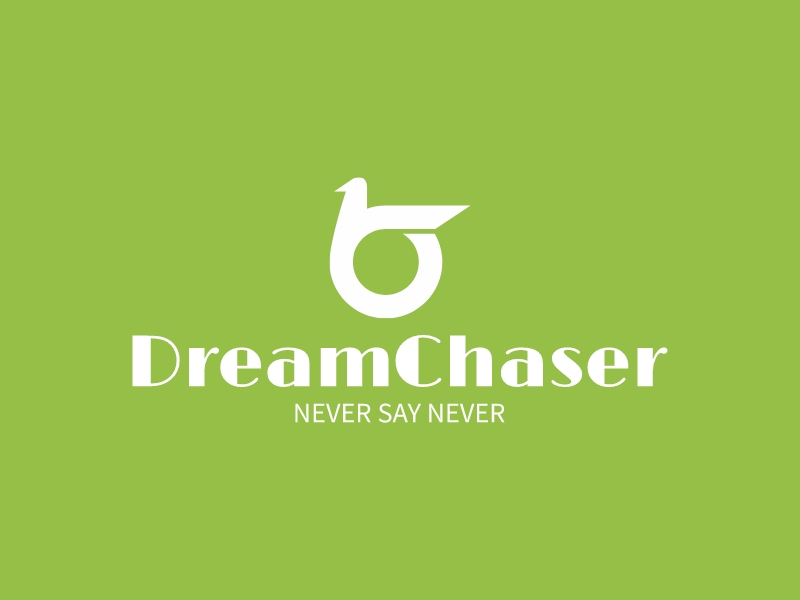 Dream Chaser logo design