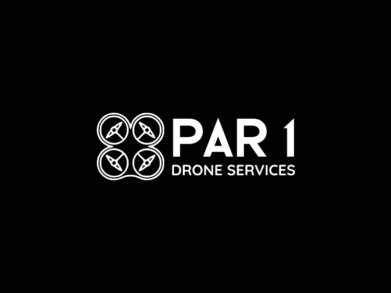 PAR 1 - DRONE SERVICES