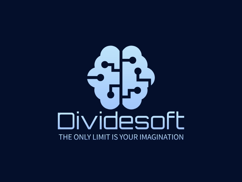 Dividesoft logo design