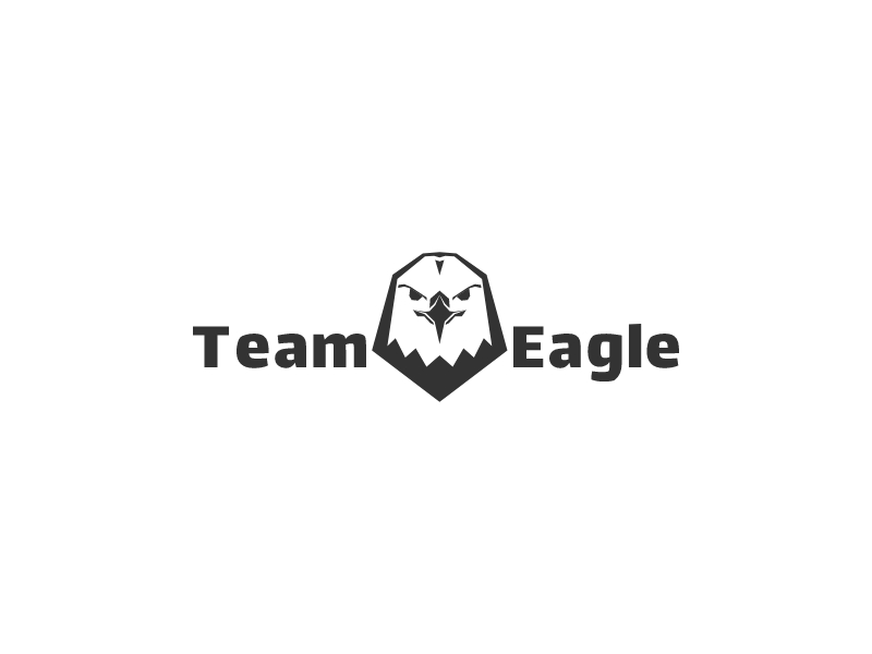 TeamEagle logo design