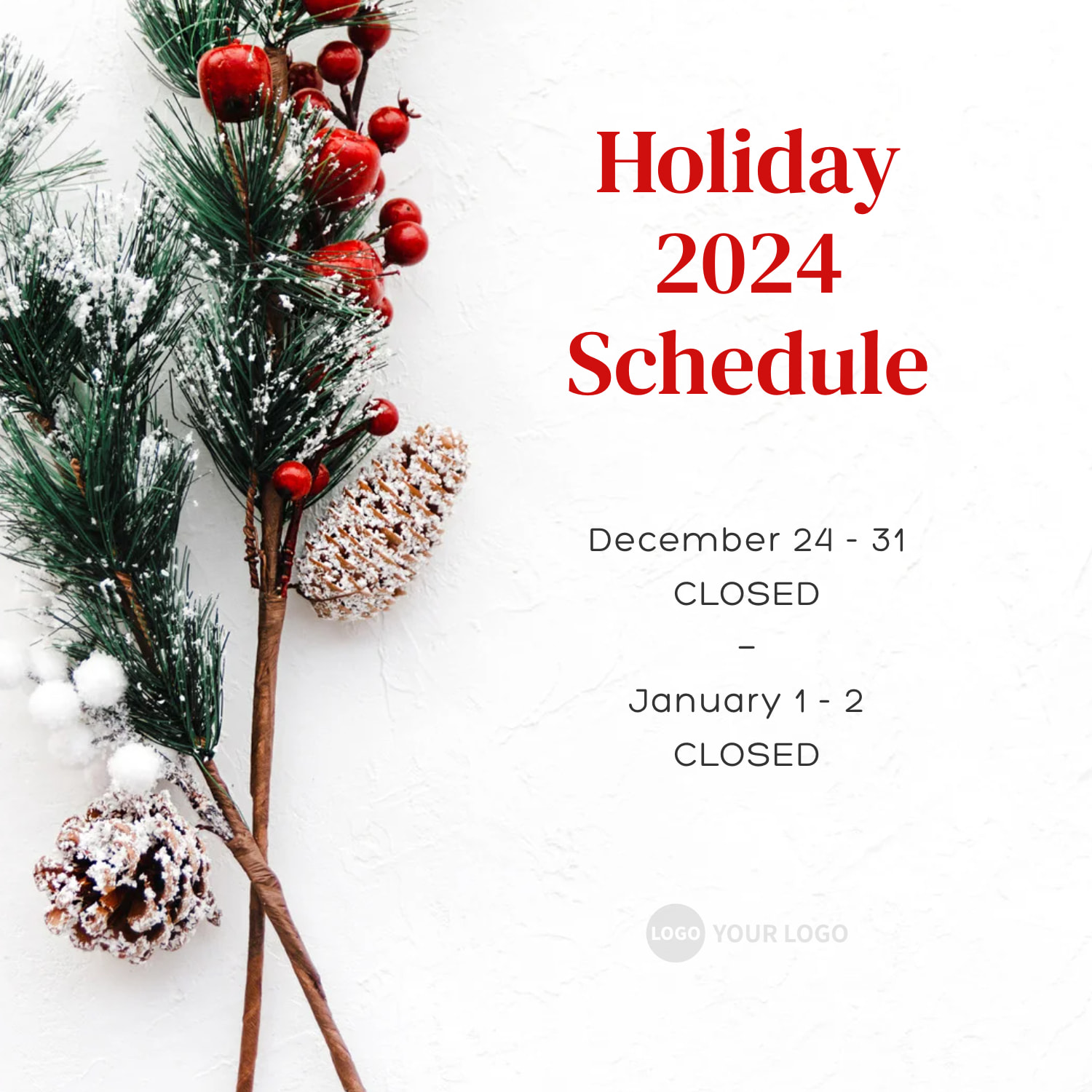 Holiday 2024 Schedule poster